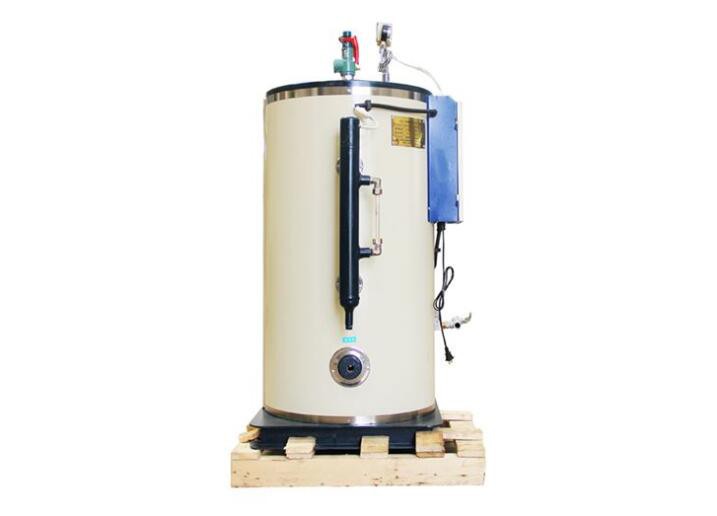 0.5T Gas Powered Steam Generator For Spa